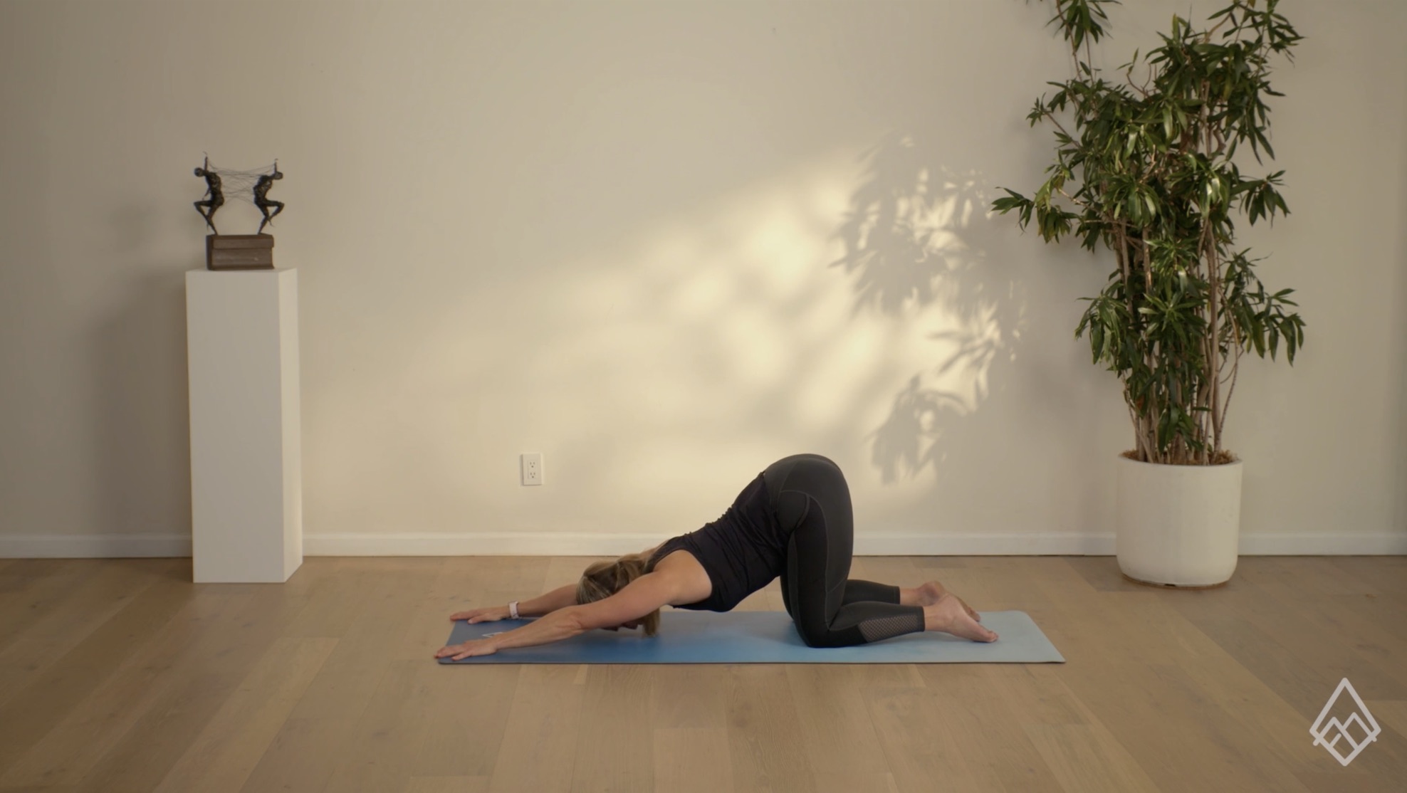 Dynamic Warm-Up Flows