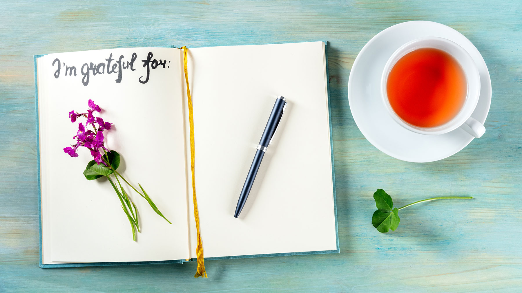 Finding Appreciation in Every Moment