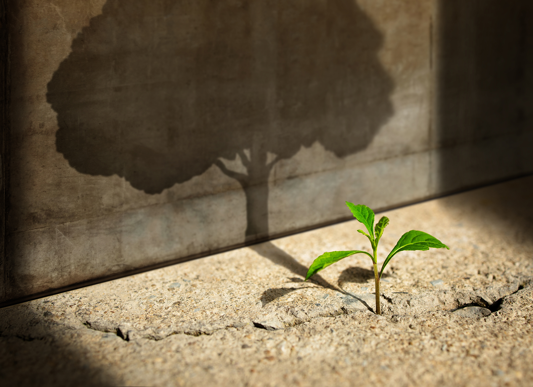 Transform Your Life: The Power of “Stop Doing X, Start Doing Y”