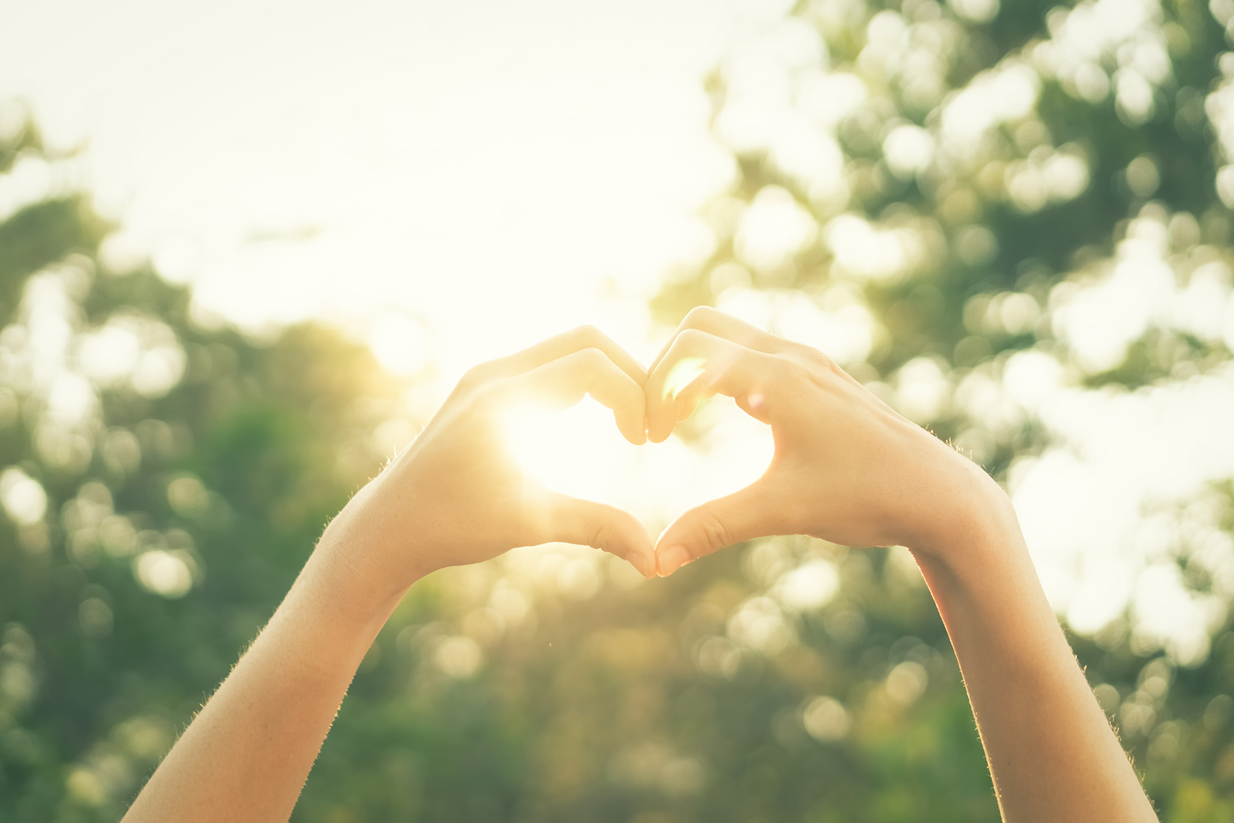 The Transformative Power of Self-Kindless